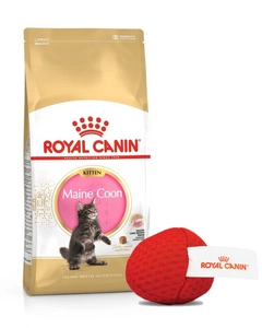ROYAL CANIN Maine Coon Kitten 10kg + Kočičí míč ZDARMA!