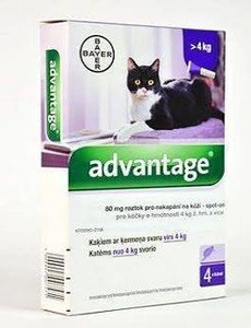 Advantage Spot-on pro malé kočky a králíky 80 mg 4 x 0,8 ml