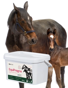Lab-v EquiPregna - Doplňková krmná směs pro březí a kojící klisny, podporuje březost, vývoj plodu a produkci mléka 2 kg