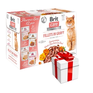 BRIT CARE Cat Fillets in Gravy mix 12x85g + překvapení pro kočku ZDARMA