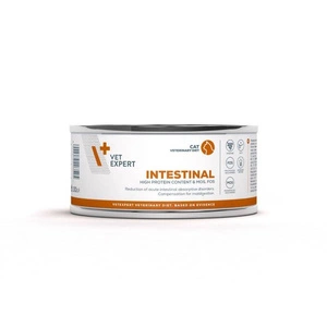 VEYEXPERT Intestinal Cat 100g