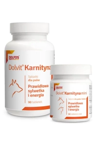 Dolvit Carnitine - efektivní doplněk během fyzické zátěže a pro obézní jedince