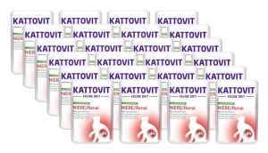 Kattovit Niere/Renal krůtí 24x85g sáček