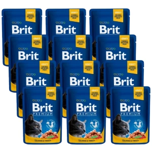 BRIT Cat Premium s lososem & pstruhem v omáčce 12x100 g