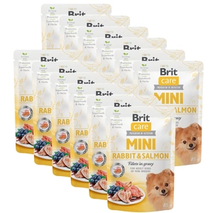 Brit Care Mini Rabbit &amp; Salmon filety v omáčce 12x85g