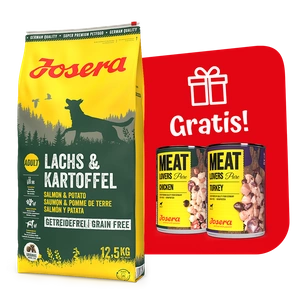 JOSERA Lachs & Kartoffel -Grain Free 12,5kg + 2x Meat Lovers Pure 400g GRATIS!!