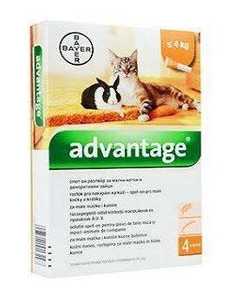 Advantage Spot-on pro malé kočky a králíky 40 mg 1 x 0,4 ml