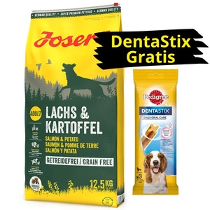 JOSERA Lachs & Kartoffel -Grain Free 12,5kg + DentaStix GRATIS!