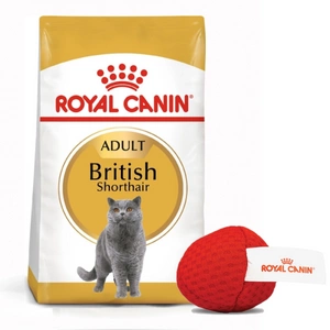 ROYAL CANIN British Shorthair 10kg + Kočičí míč ZDARMA!
