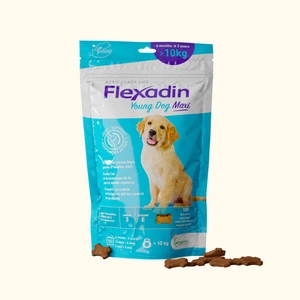 VETOQUINOL Flexadin Young Dog Maxi 60 tobolek