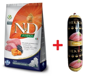 Farmina N&D GF Pumpkin DOG Puppy M/L Lamb & Blueberry 12kg + Hektor 900g