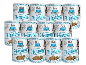 BRIT CARE Cat Snack Superfruits Herring 12x100g