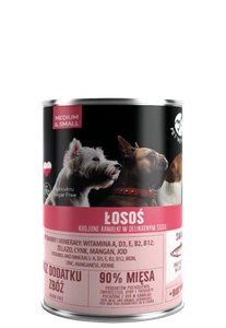 PetRepublic kousky v omáčce s lososem 12x400g pro psy