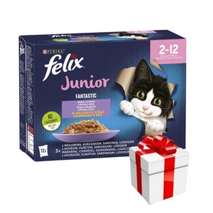 FELIX Fantastic Junior Želé; 12x85g + překvapení pro kočku ZDARMA