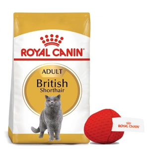 ROYAL CANIN British Shorthair 4kg + Kočičí míč ZDARMA!