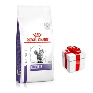 ROYAL CANIN Dental S/O DSO 29 3kg + Překvapení pro kočku