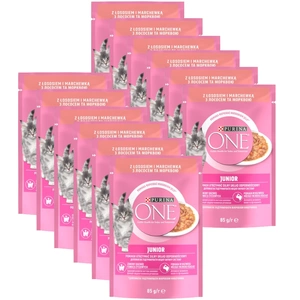Purina One Junior s lososem a mrkví 12x85g