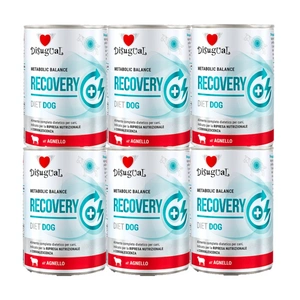 Disugual mokré krmivo pro psy Veterinární RECOVERY Jehněčí (dospělí) 6x400g
